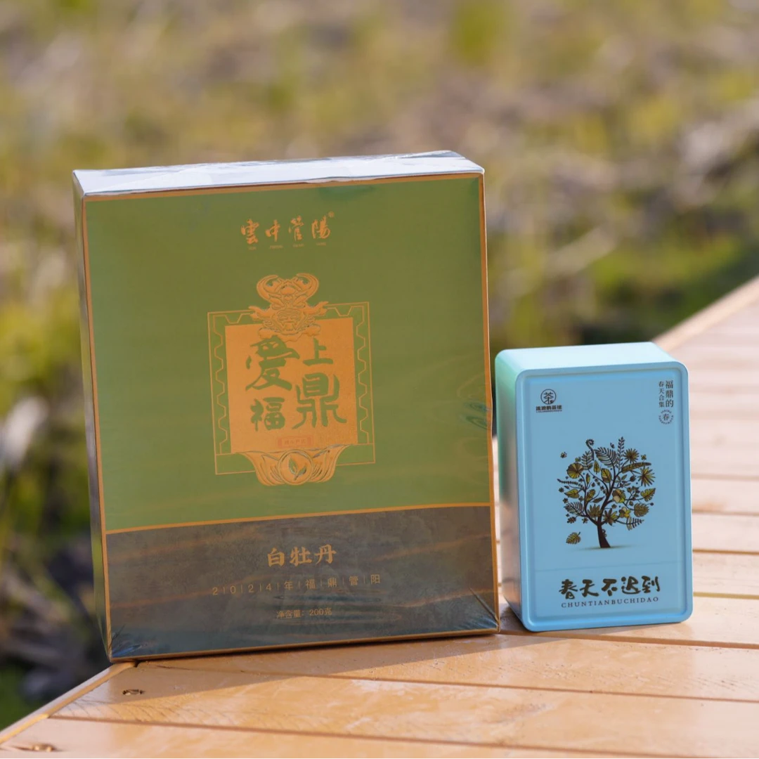 【爱上福鼎】2024年一级牡丹200g福鼎白茶核心产区花香