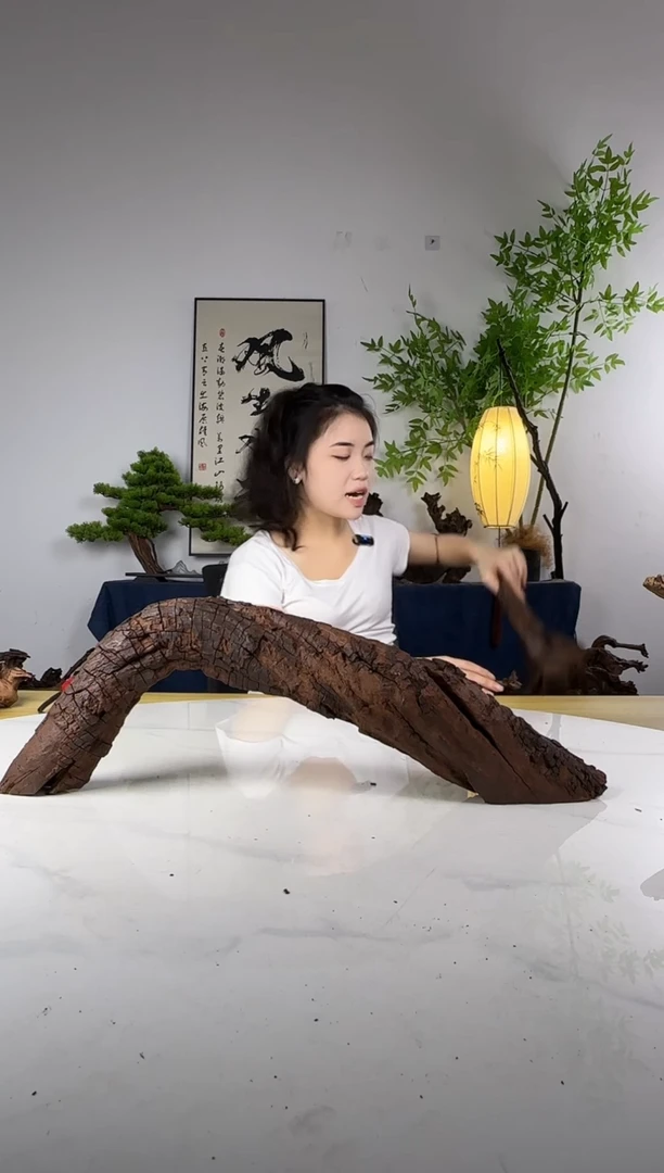 神****文拍这个定向编号30