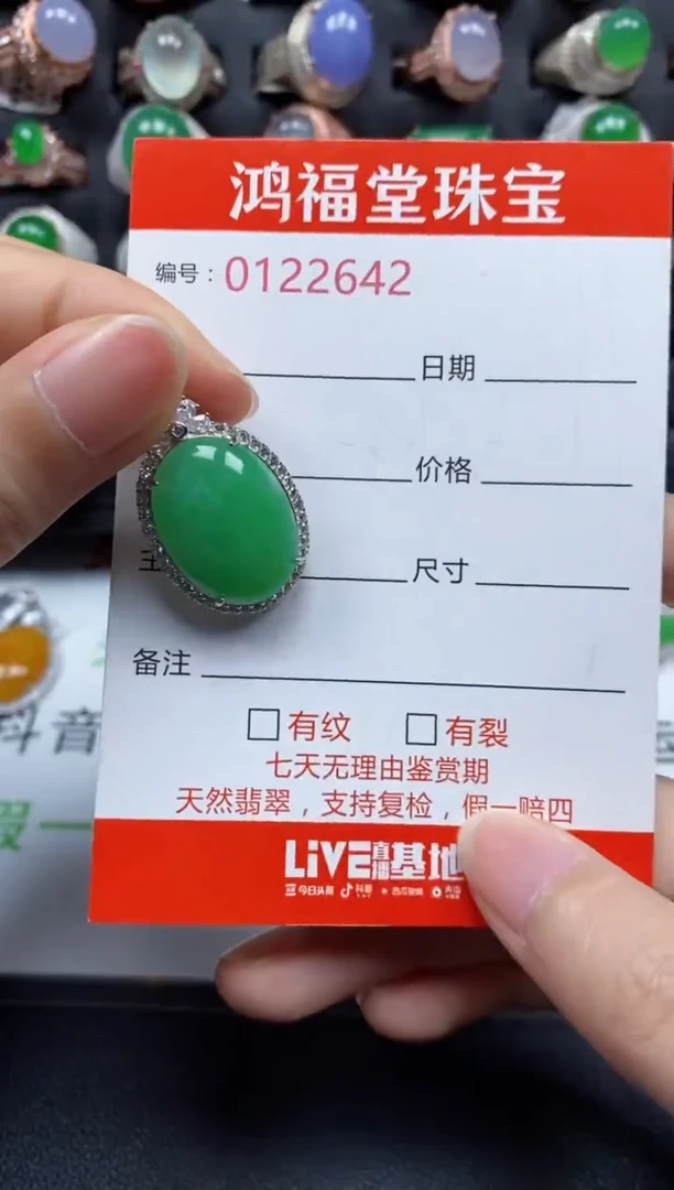 颈饰银S925镶嵌翡翠2642