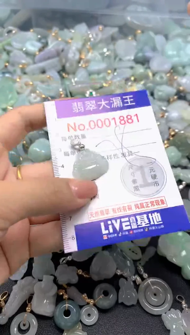 颈饰未镶嵌翡翠1881