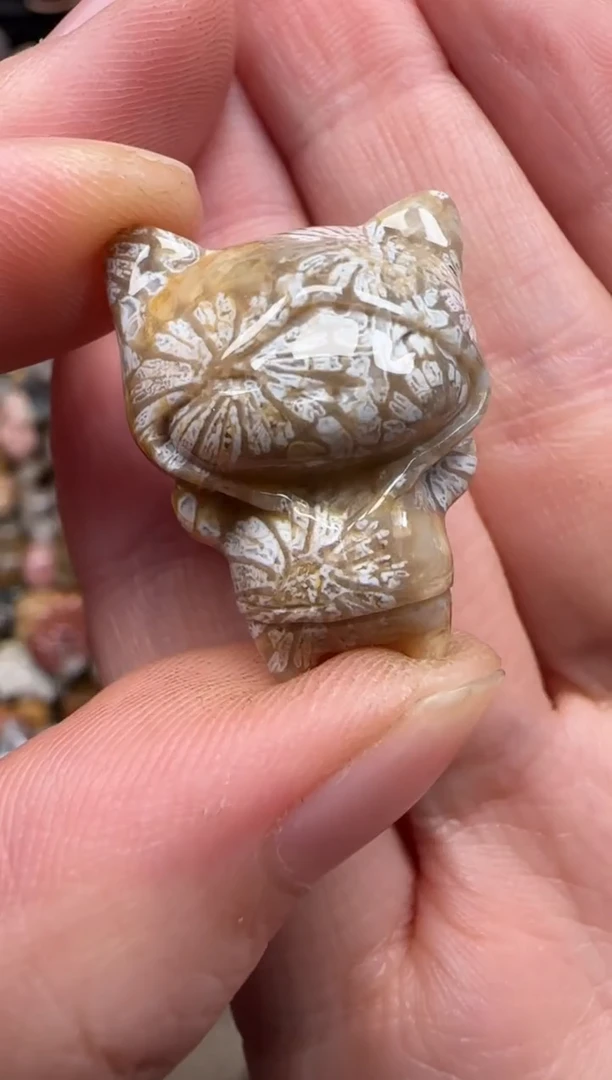 硅化珊瑚（珊瑚玉）未镶嵌颈饰737