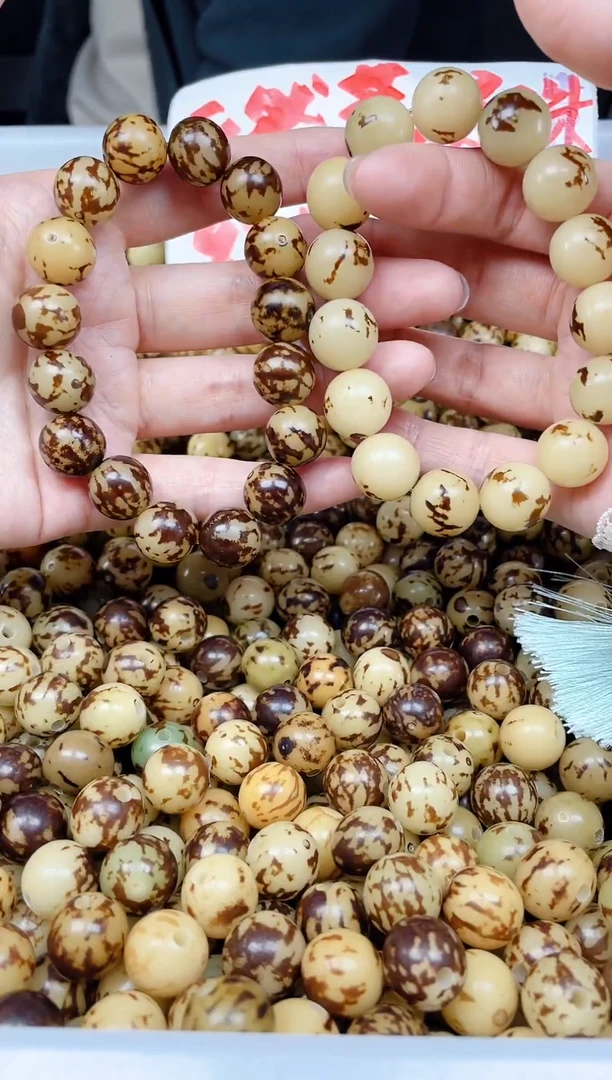 手串菩提根/象牙果?****?02