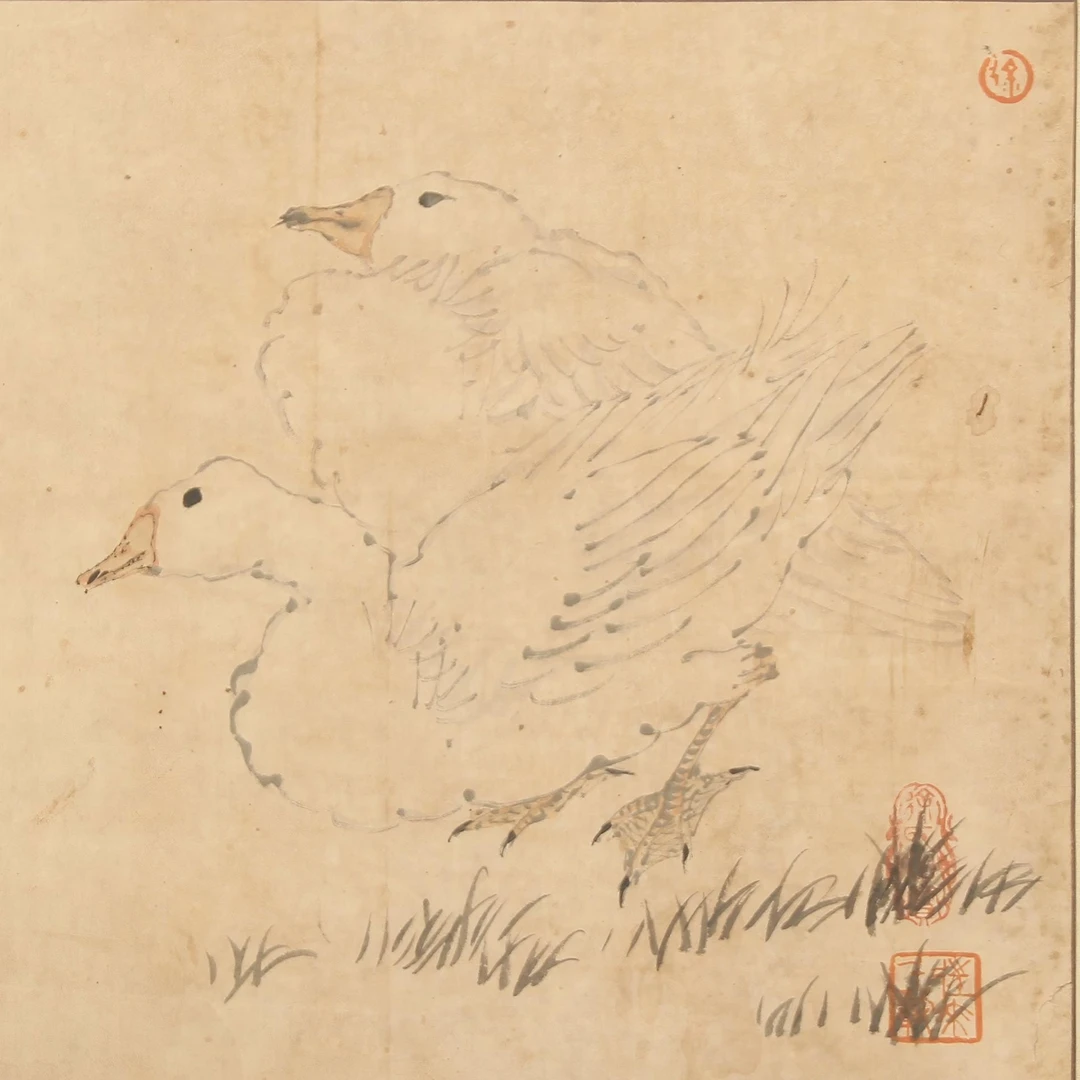 LOT.007 徐老 《鹅》 27*31cm 纸本设色镜片