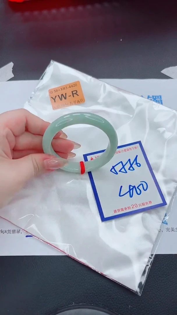 未镶嵌手镯翡翠11111111