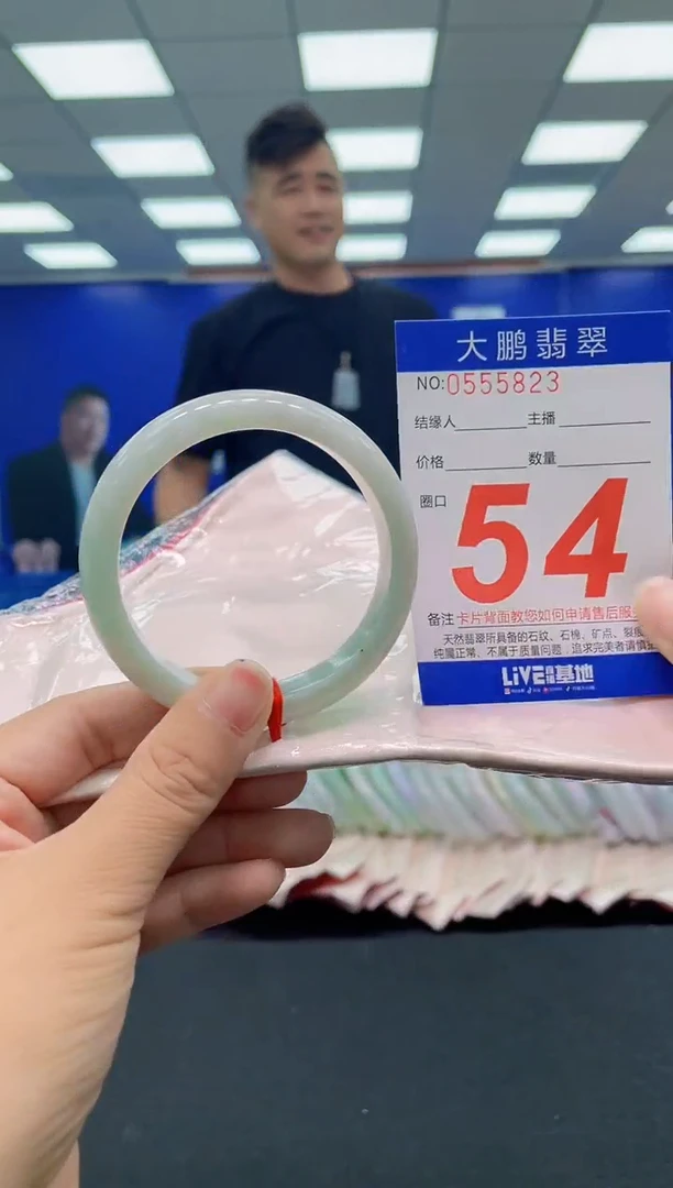 未镶嵌手镯翡翠AAAAAAAAA