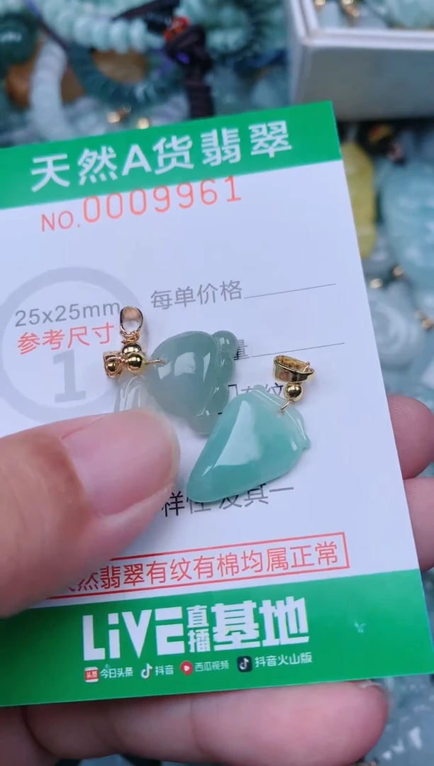 翡翠未镶嵌颈饰.0009961