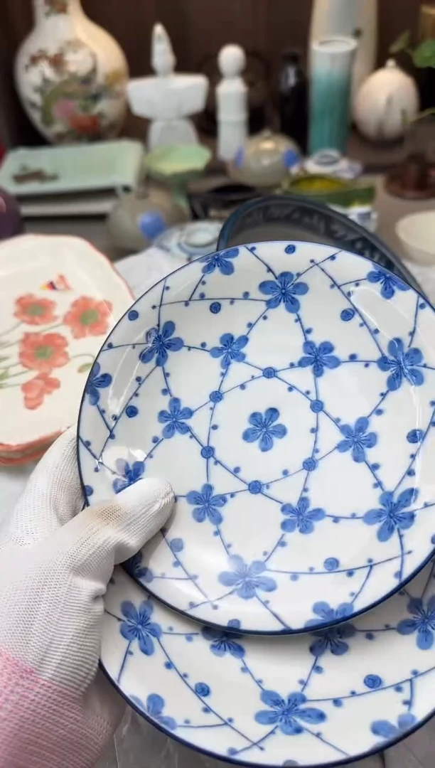碟易碎品瓷器瓷器瓷器