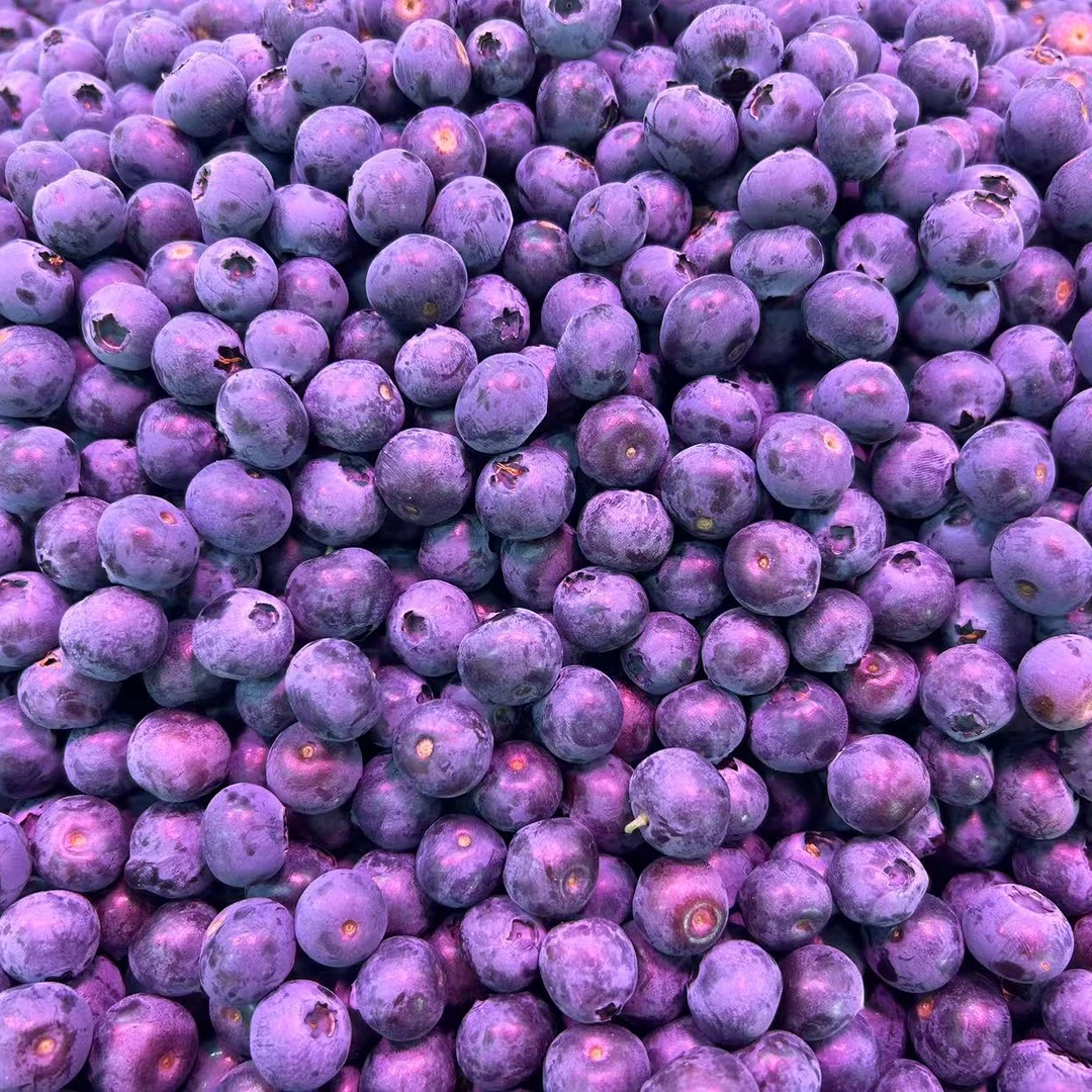 散蓝莓 1斤（水果）