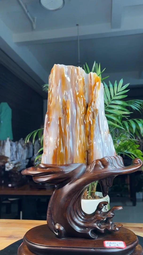 未镶嵌硅化玉（树化玉）珠宝奇石1152（高度43厘米）