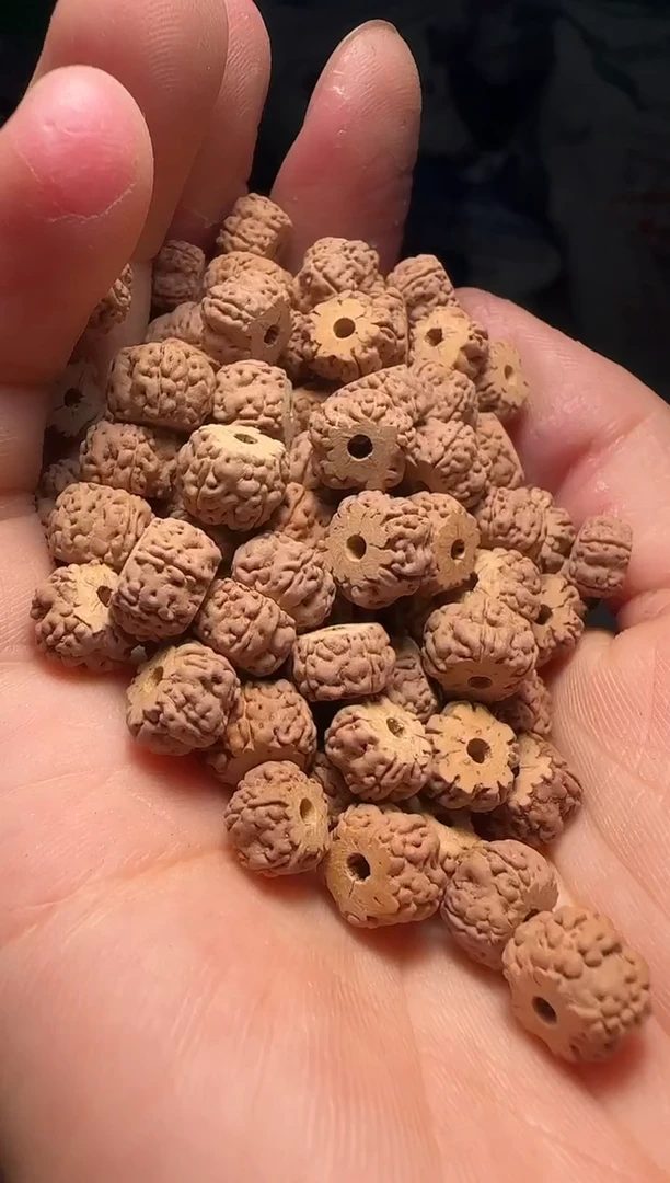 手串金刚菩提非全品龙切龙骨梅花散籽8-9mm一份一百颗