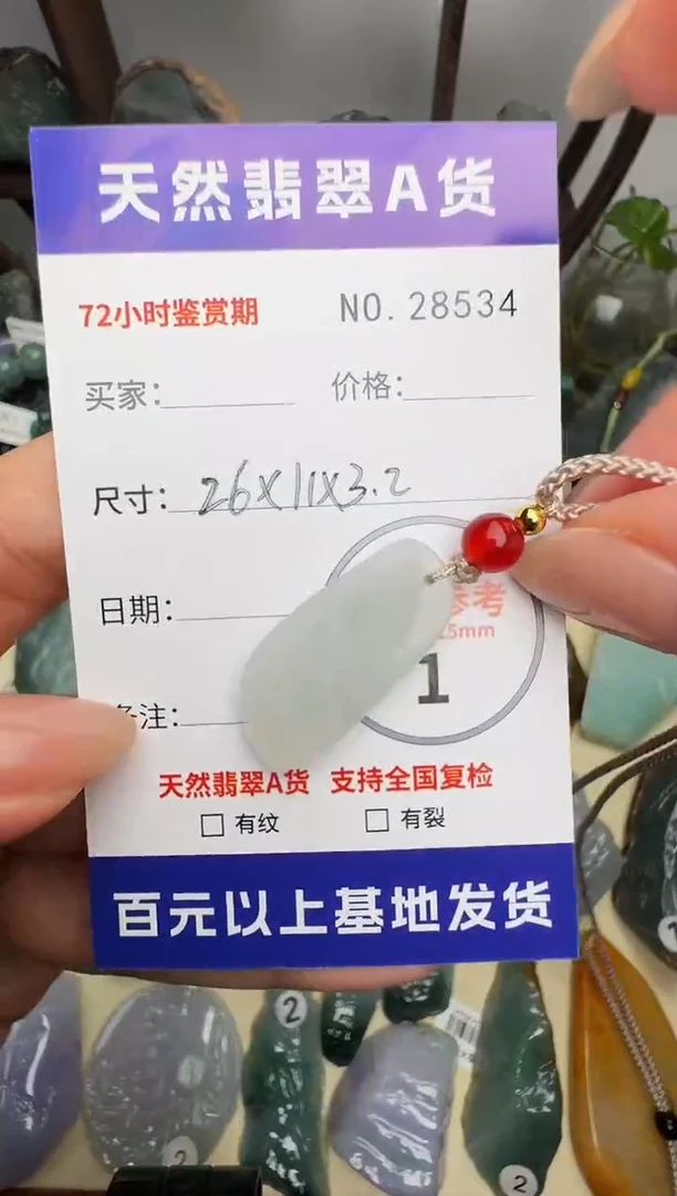 翡翠未镶嵌颈饰原石28534