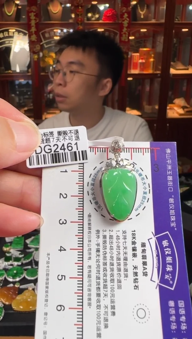 颈饰18K金镶嵌翡翠欣****属/DG2461绿叶子