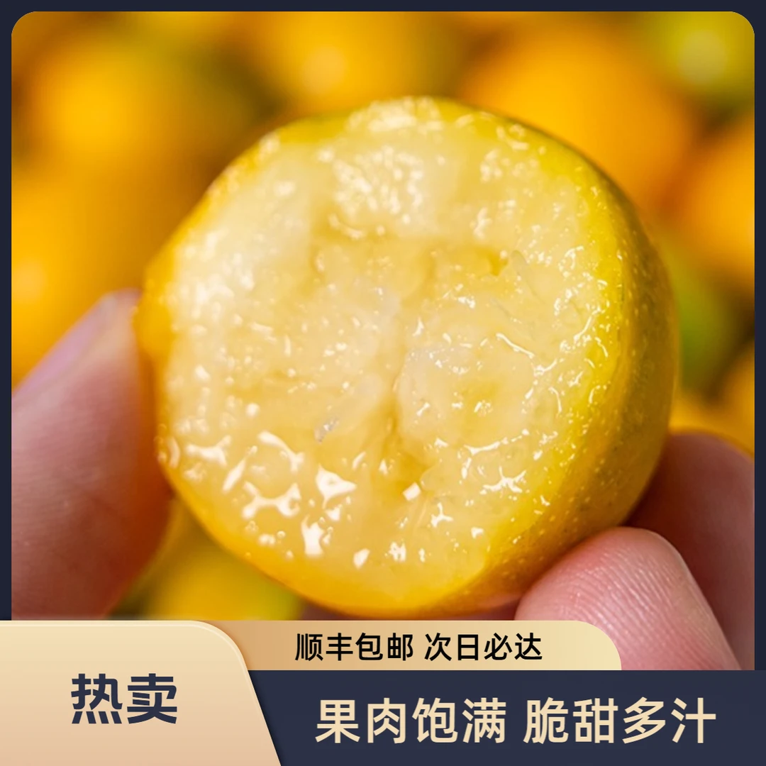 【顺丰次日达】融安脆蜜金桔正宗广西融安金桔第三代融安金桔脆蜜金柑融安脆蜜金桔融安脆蜜金桔广西壮族自治区