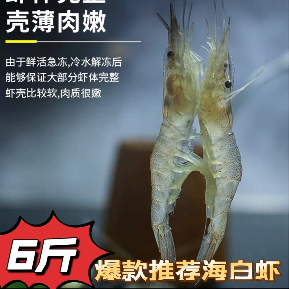 【6大斤】福利中秋新鲜野生海捕红毛海虾小白虾 白虾 无冰衣到手6斤