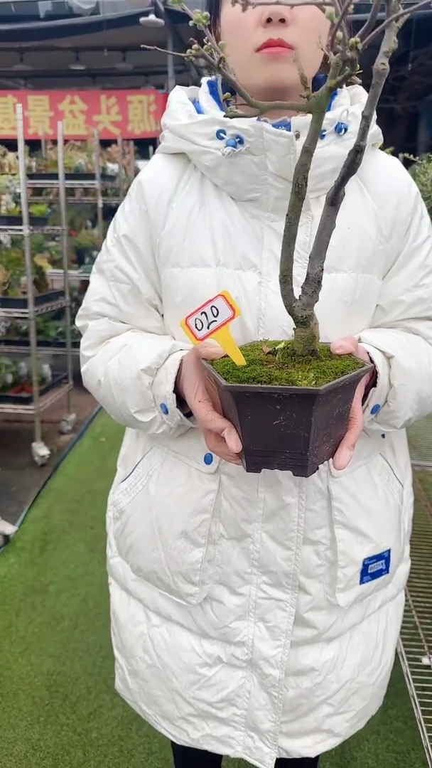 【闪购商品】020