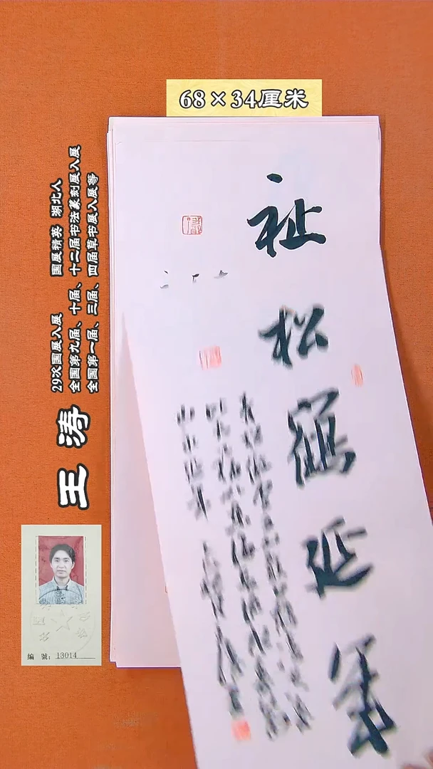 书法46D王涛书法作品