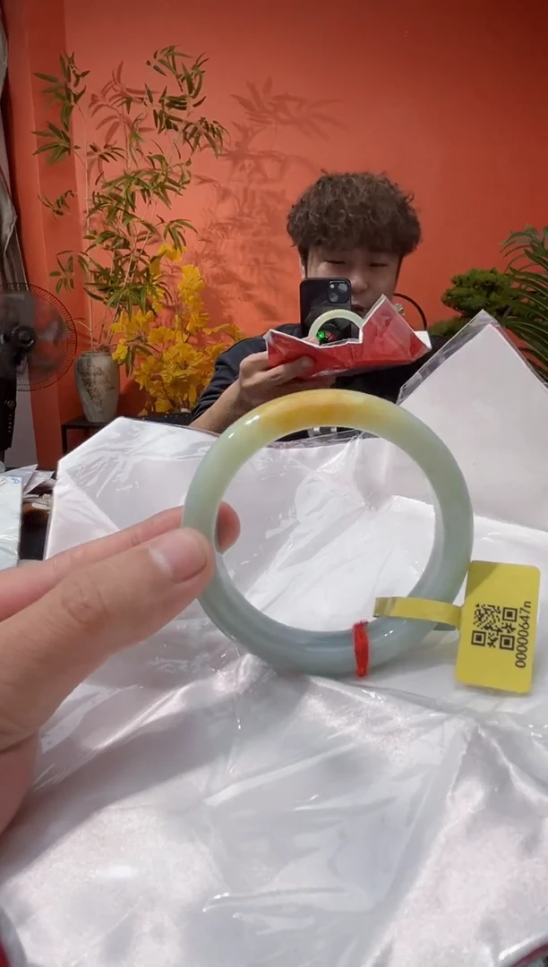 未镶嵌手镯翡翠12