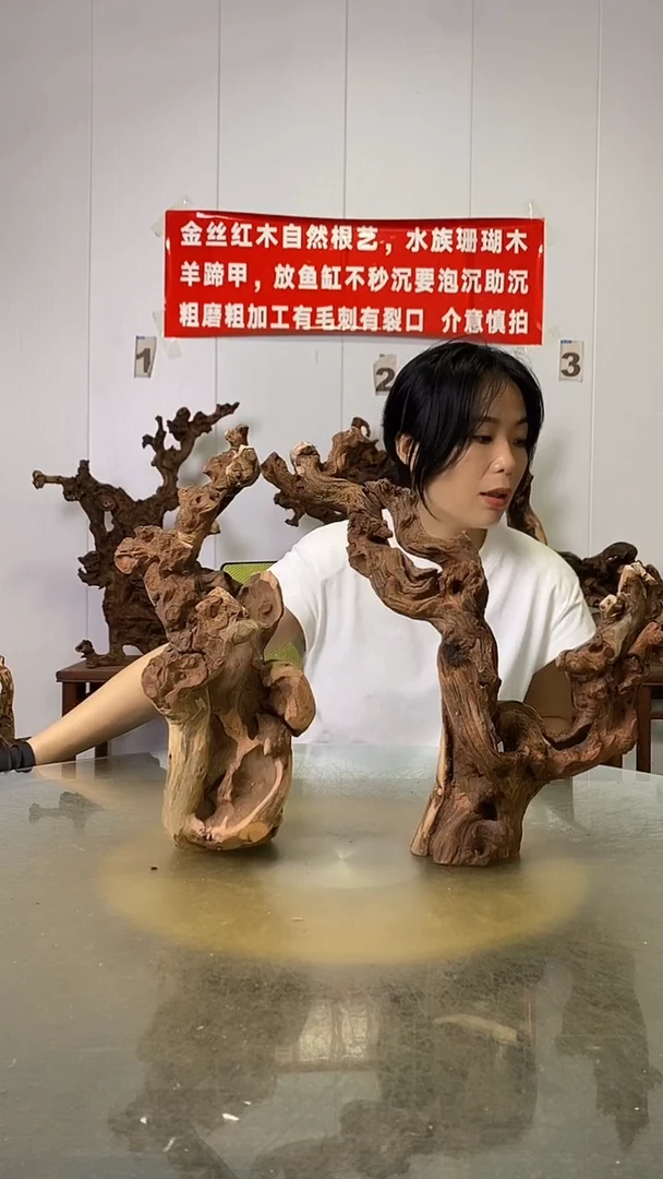 香榧木日**辉金丝红木   羊蹄甲2