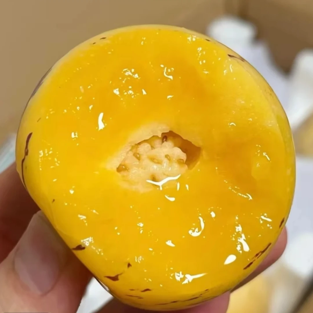 云南石林人参果树上熟黄皮黄肉新鲜清甜多汁应季水果