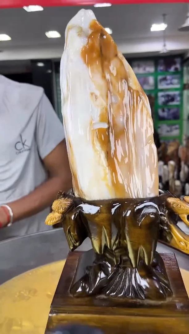 未镶嵌珠宝奇石硅化玉缅甸天然树化玉摆件