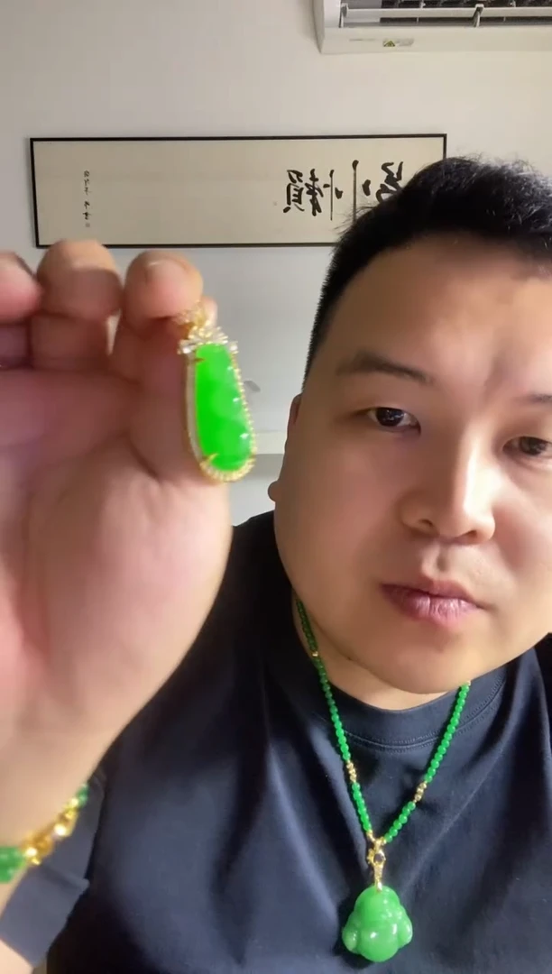 所见即所得,拍啥是啥 12四季豆