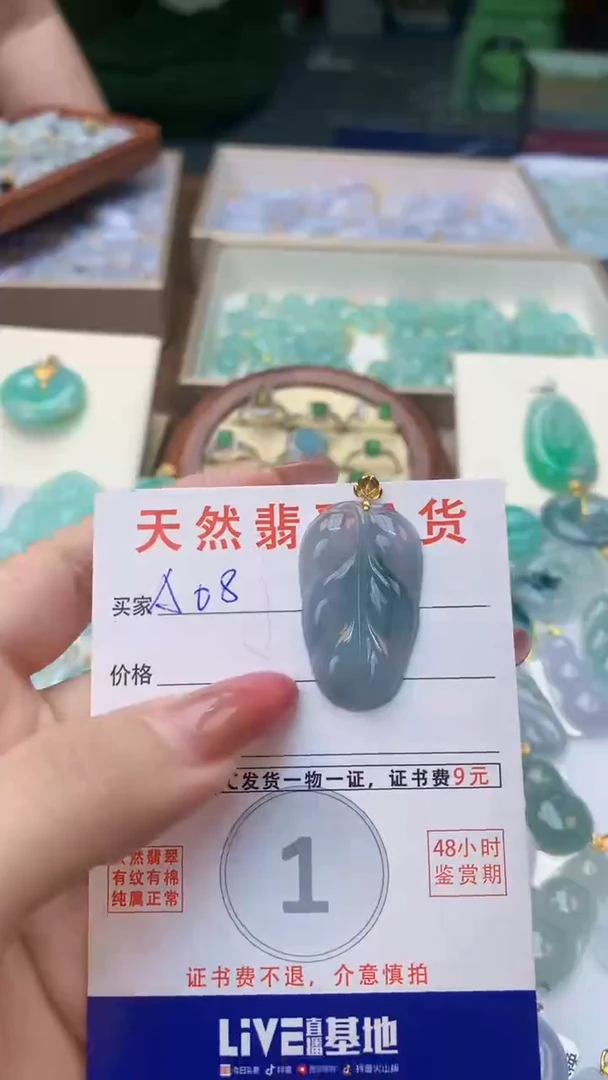 颈饰未镶嵌翡翠天然A货翡翠挂件