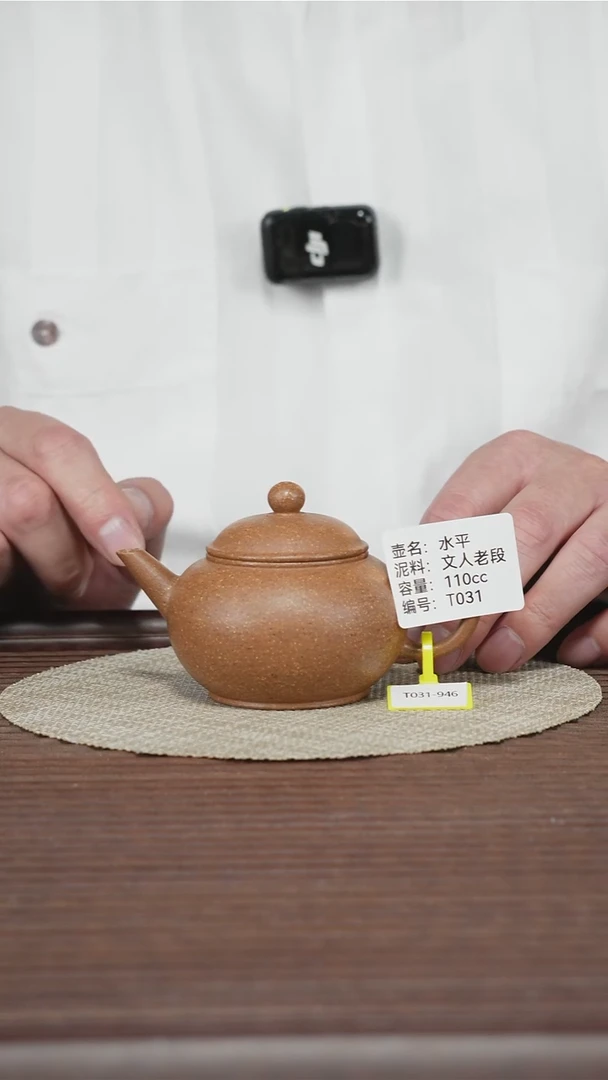 茶壶紫砂T031 文人老段 水平 110cc
