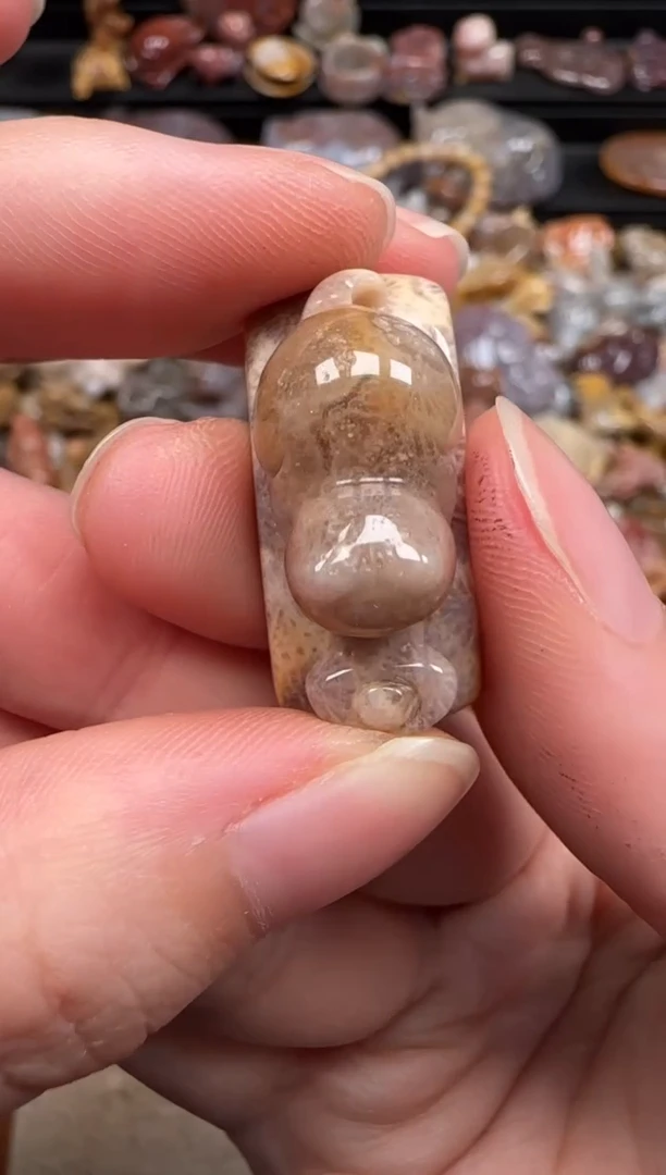 硅化珊瑚（珊瑚玉）未镶嵌颈饰810
