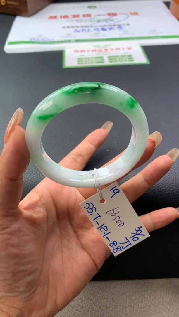 未镶嵌手镯翡翠假一赔三 手镯