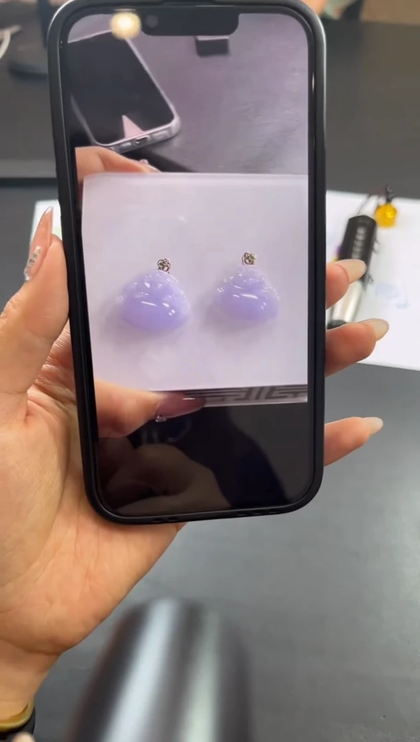 翡翠未镶嵌颈饰多样性发一件