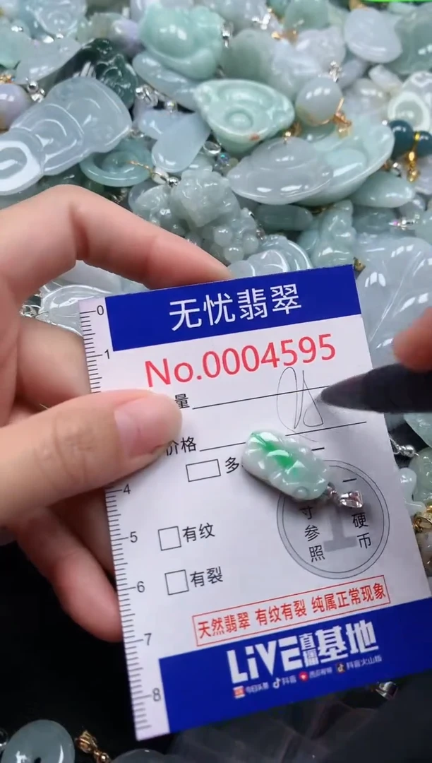 颈饰未镶嵌翡翠4595