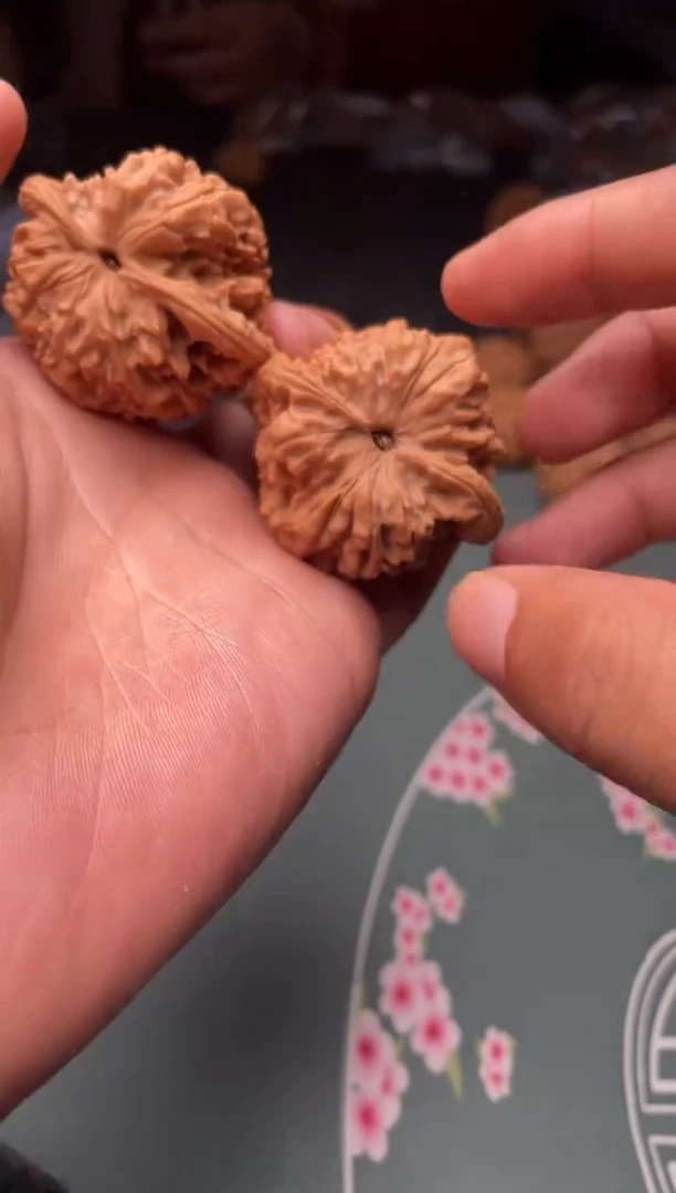 核桃a1   官帽44尺