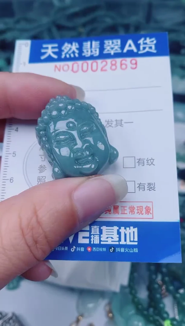 颈饰未镶嵌翡翠00002869