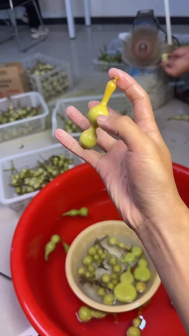 曦*文玩葫芦摆件手把件