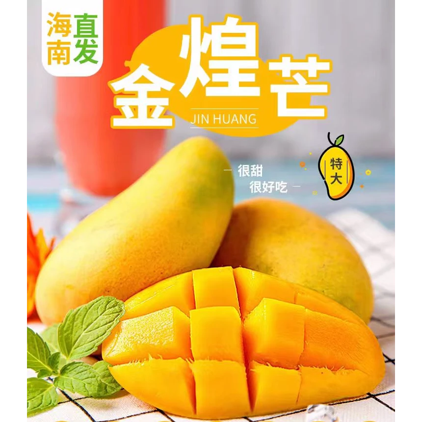 【顺丰包邮】海南直发三亚金煌芒精品一级果新鲜热带芒果生鲜食品