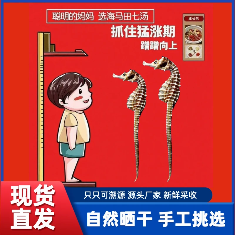 天然晒干公母配对适合煲汤泡酒的海马干