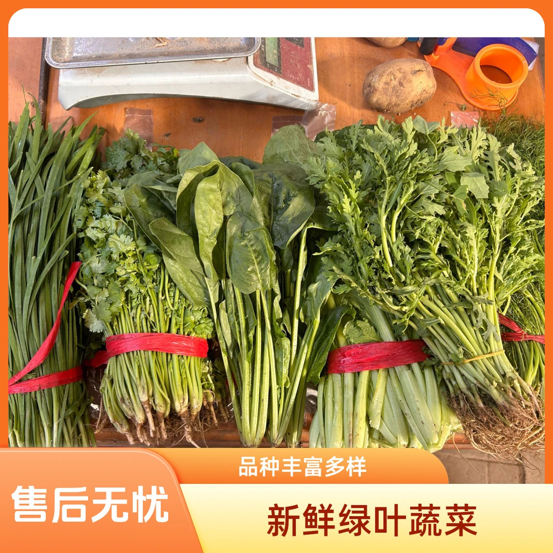 蔬菜组合【荤香+香菜+小白菜+菠菜+蒿子杆+韭菜】5斤