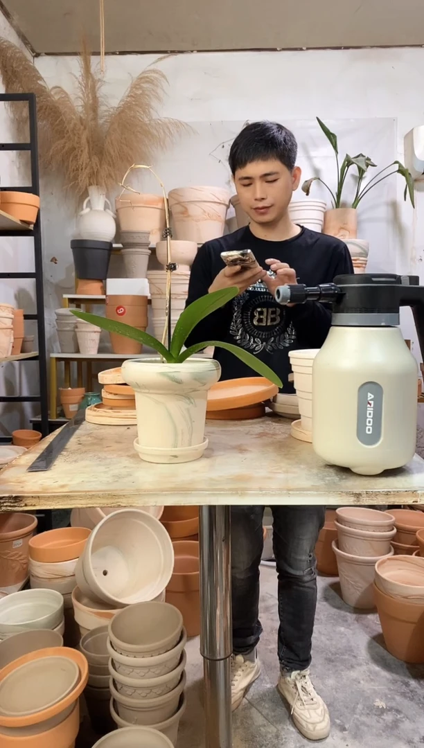 15*14绿白陶蘑菇 1盆1托