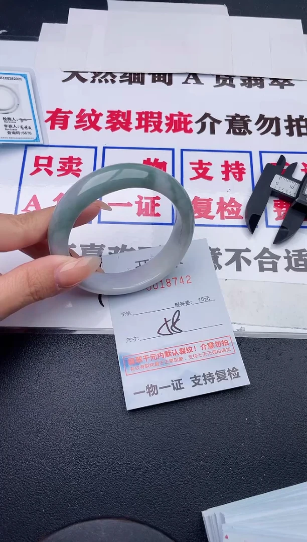 未镶嵌手镯翡翠42