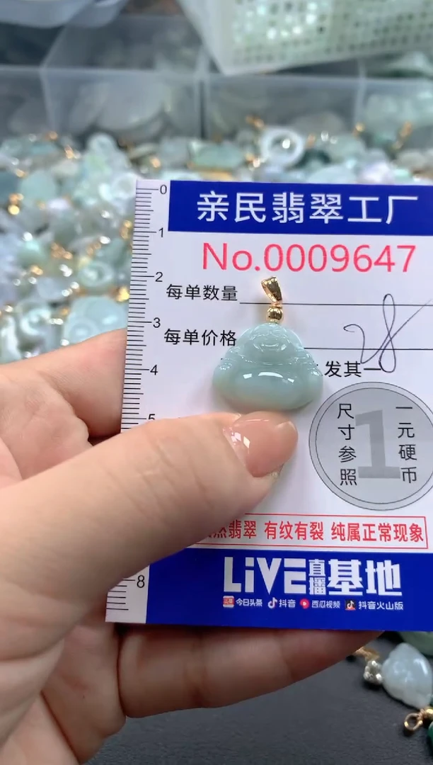 颈饰未镶嵌翡翠9647