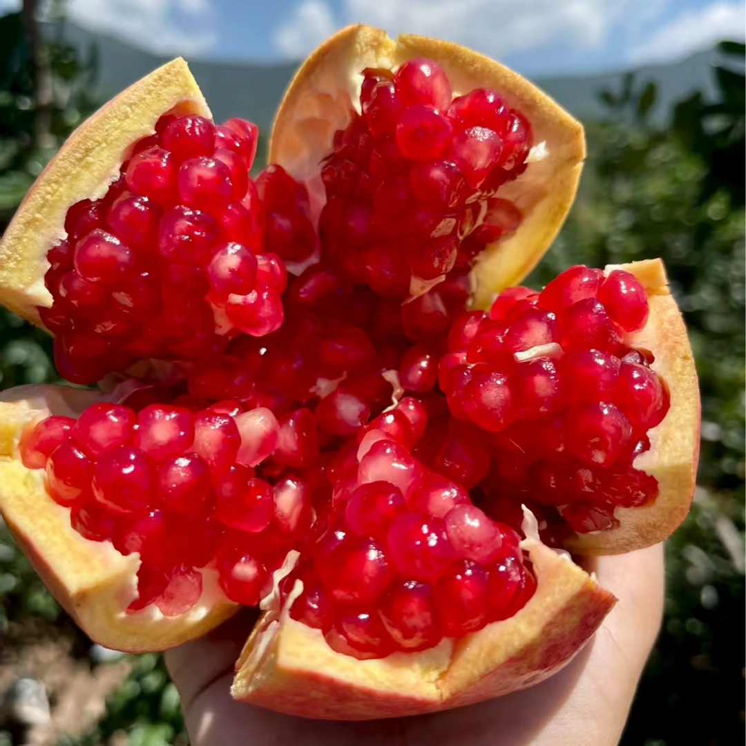 四川会理软籽石榴新鲜当季水果鲜甜多汁整箱包邮