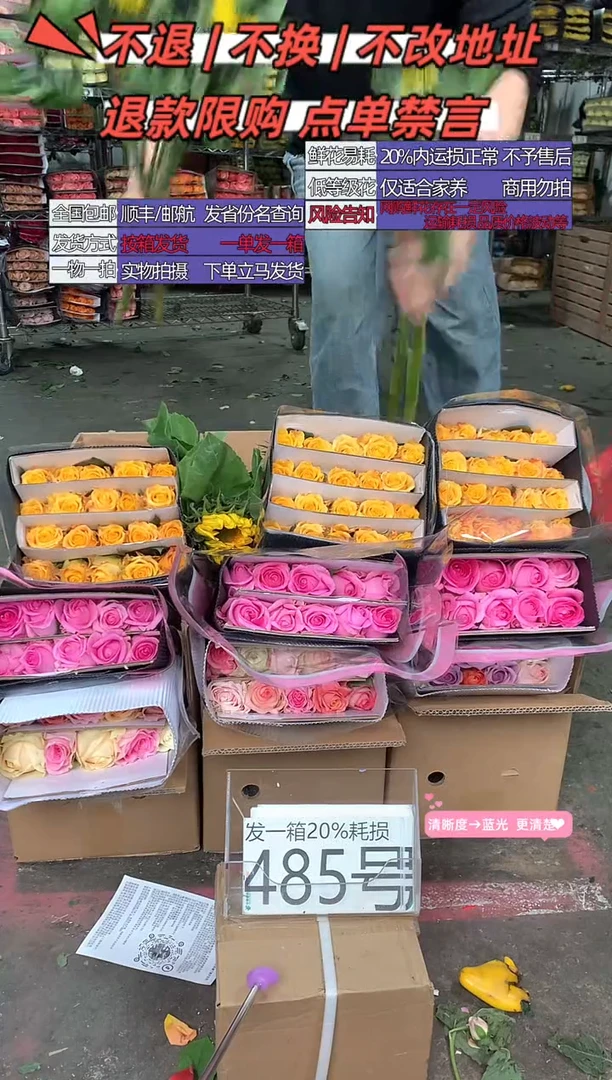 485号♥含20%耗损发一箱