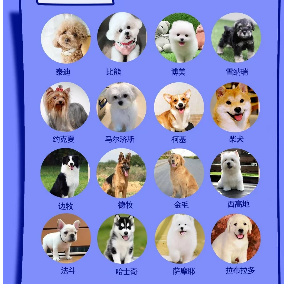 宠物相册定制款【拍单联系客服】