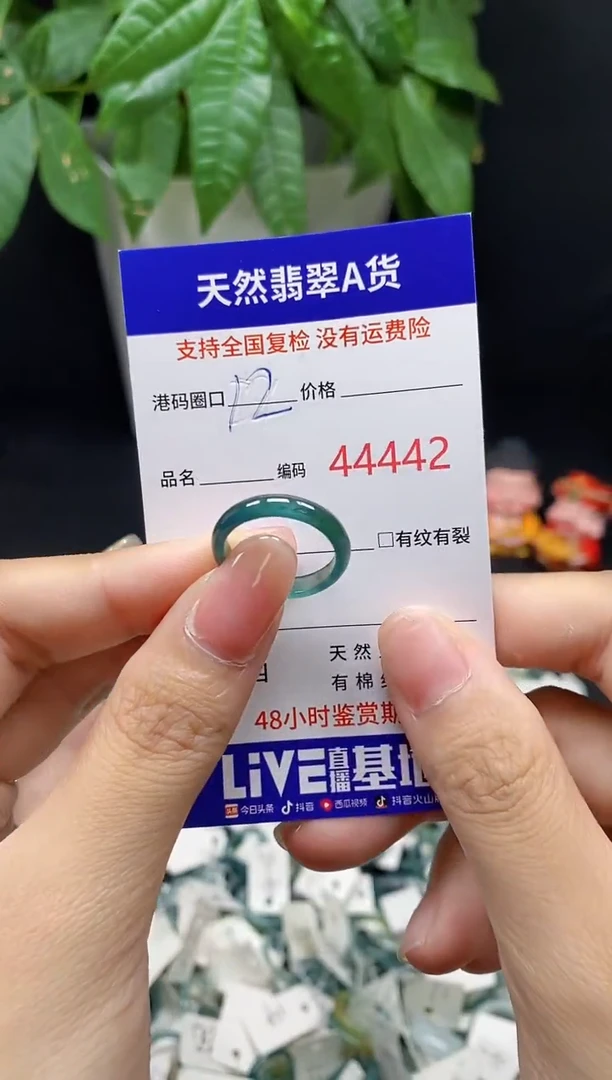 翡翠戒指未镶嵌 天然翡翠戒圈4442