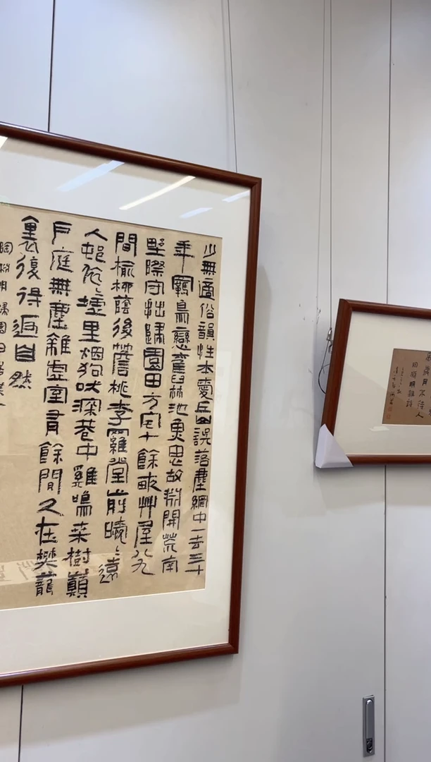 书法何芹老师作品13
