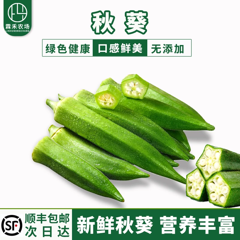 海南三亚新鲜秋葵500g