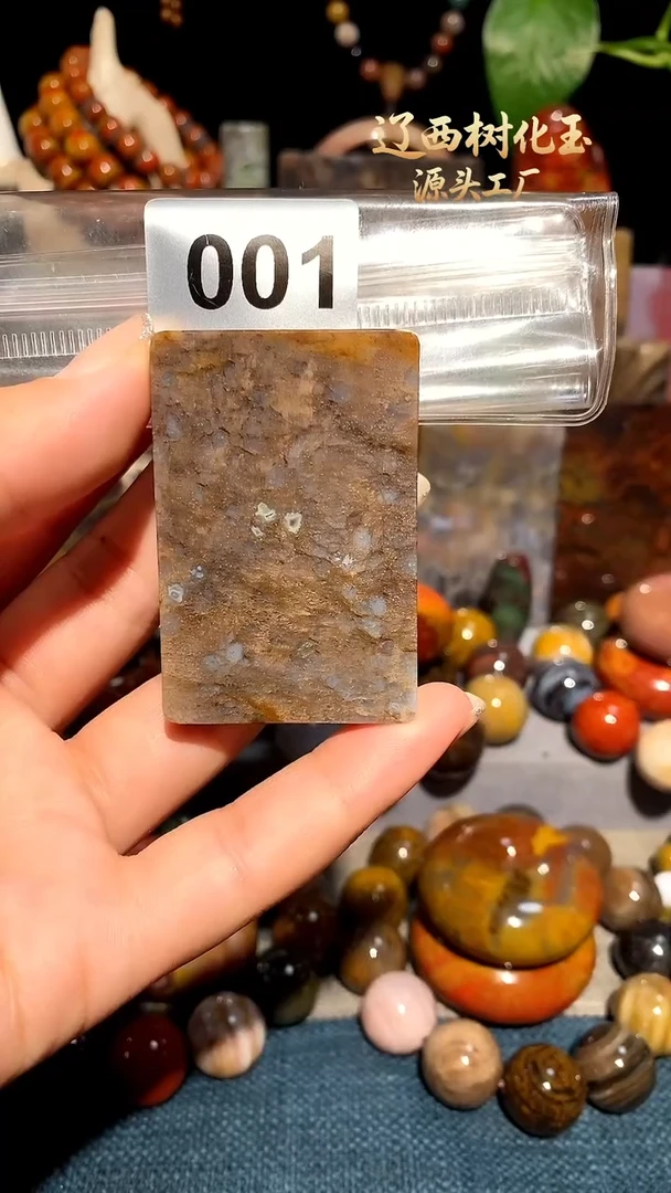 未镶嵌-硅化玉天然北票硅化玉吊坠