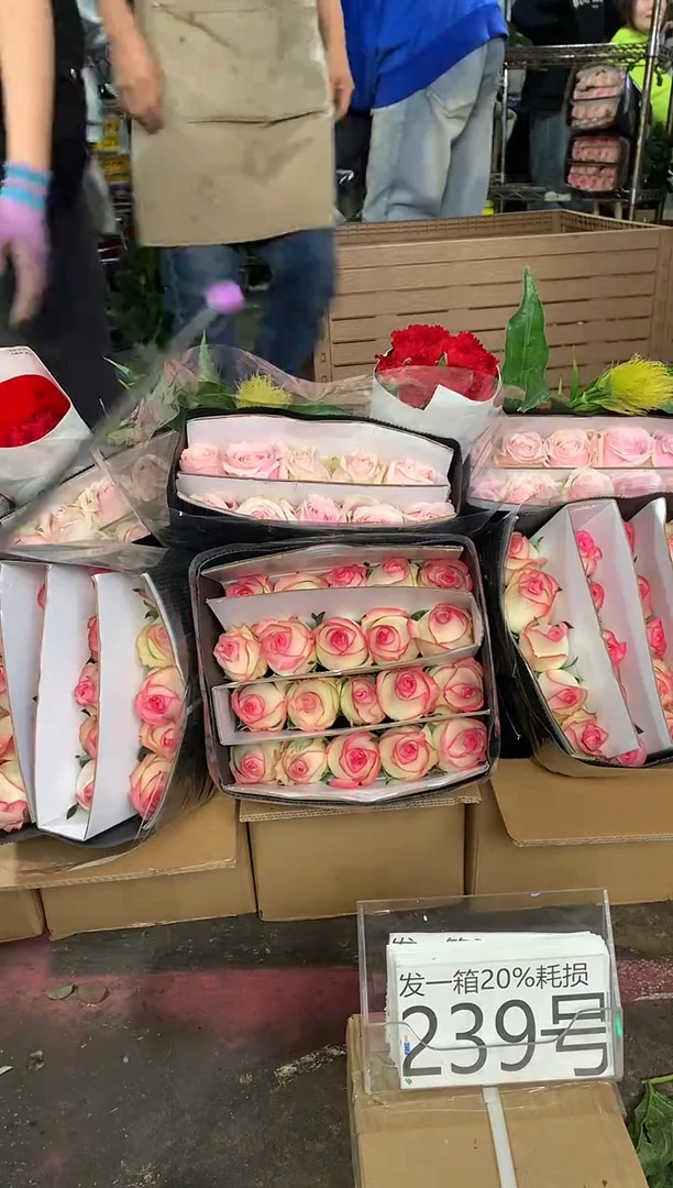 239号♥含20%耗损发一箱