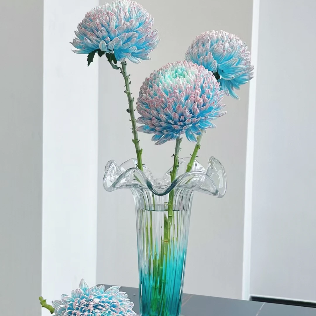 【花汀私享】牡丹菊-菊花