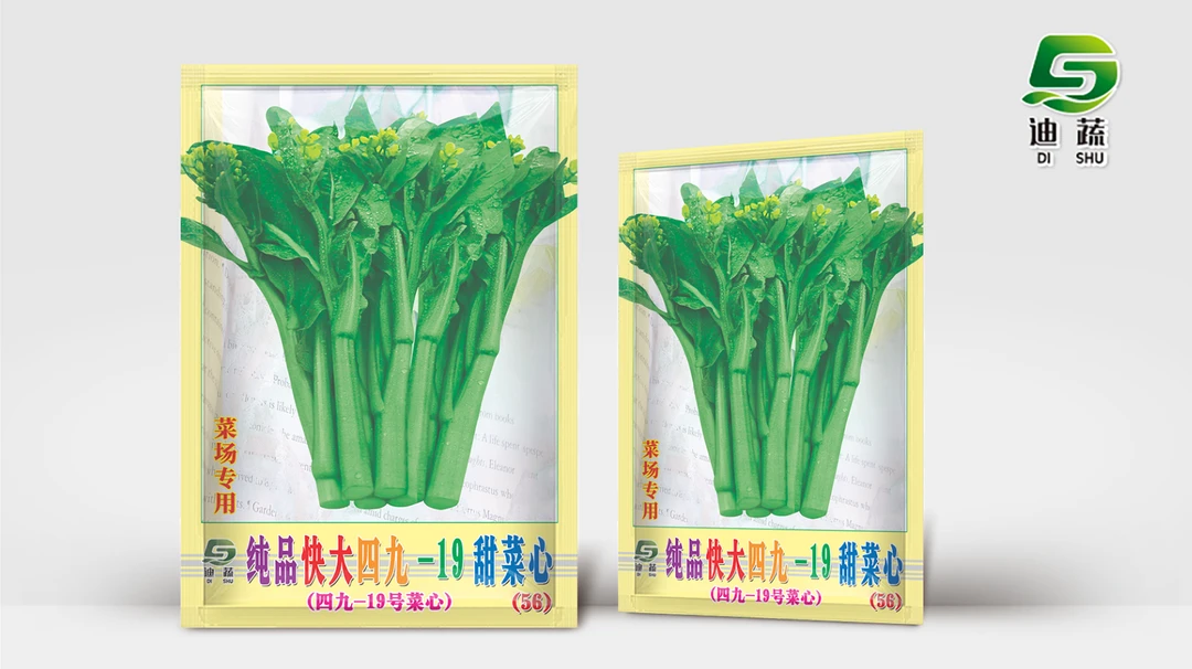 纯品快大四九菜心种子广东甜菜心菜苔青菜籽高产四季春